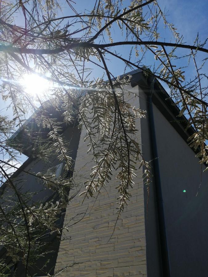 Apartments Lanterna Ražanac 外观 照片